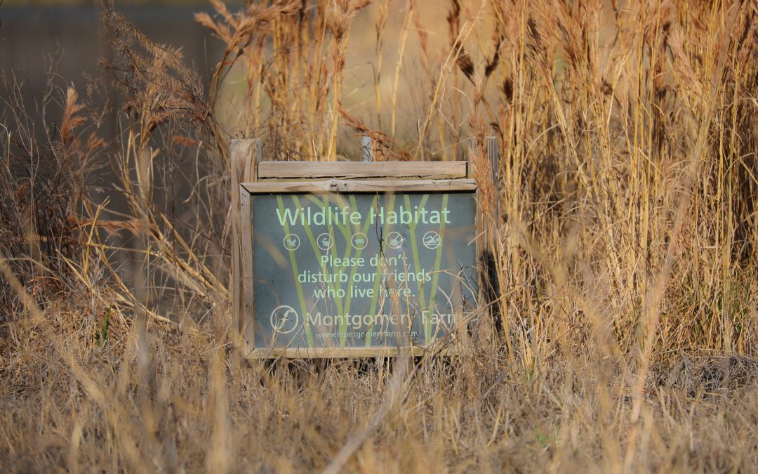 Connemara Nature Preserve