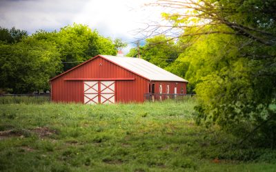 Barn Hunting