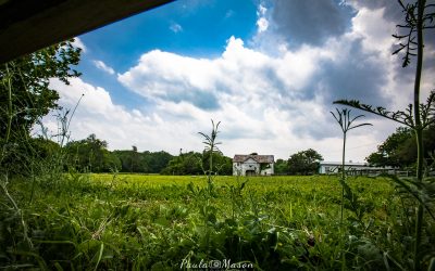 Using a Wide Angle Lens