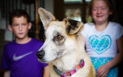 The Sony A7 RII Photoshoot