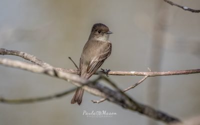 A Beautiful Day to Hike at The Heard Natural Science Museum & Wildlife Sanctuary