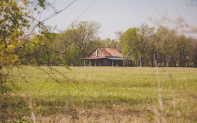 My New Favorite Barn in Parker, Texas