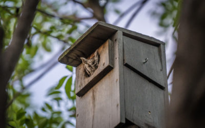 Harry & Hermione Have Moved In…Finally!
