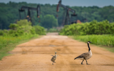 Sometimes You Just Need to Stop and Dance in the Middle of the Road…