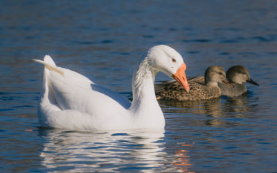 Santa Was Good To Me This Year…