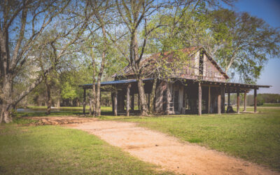 Where Should We Take Our Family Photos?  How About Parker Rose Garden?