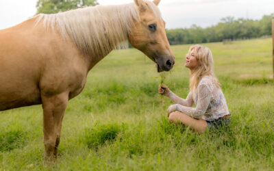 I Think I Want a Horse Now: An Evening Portrait Session in College Station